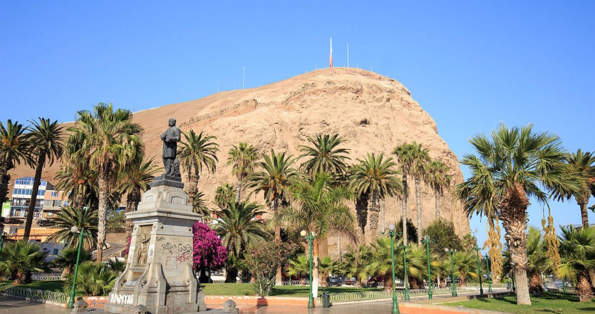 Moro de Arica