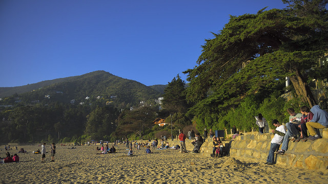 Playa y naturaleza en Zapallar