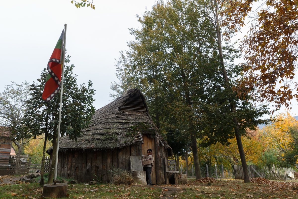 Ruca Mapuche