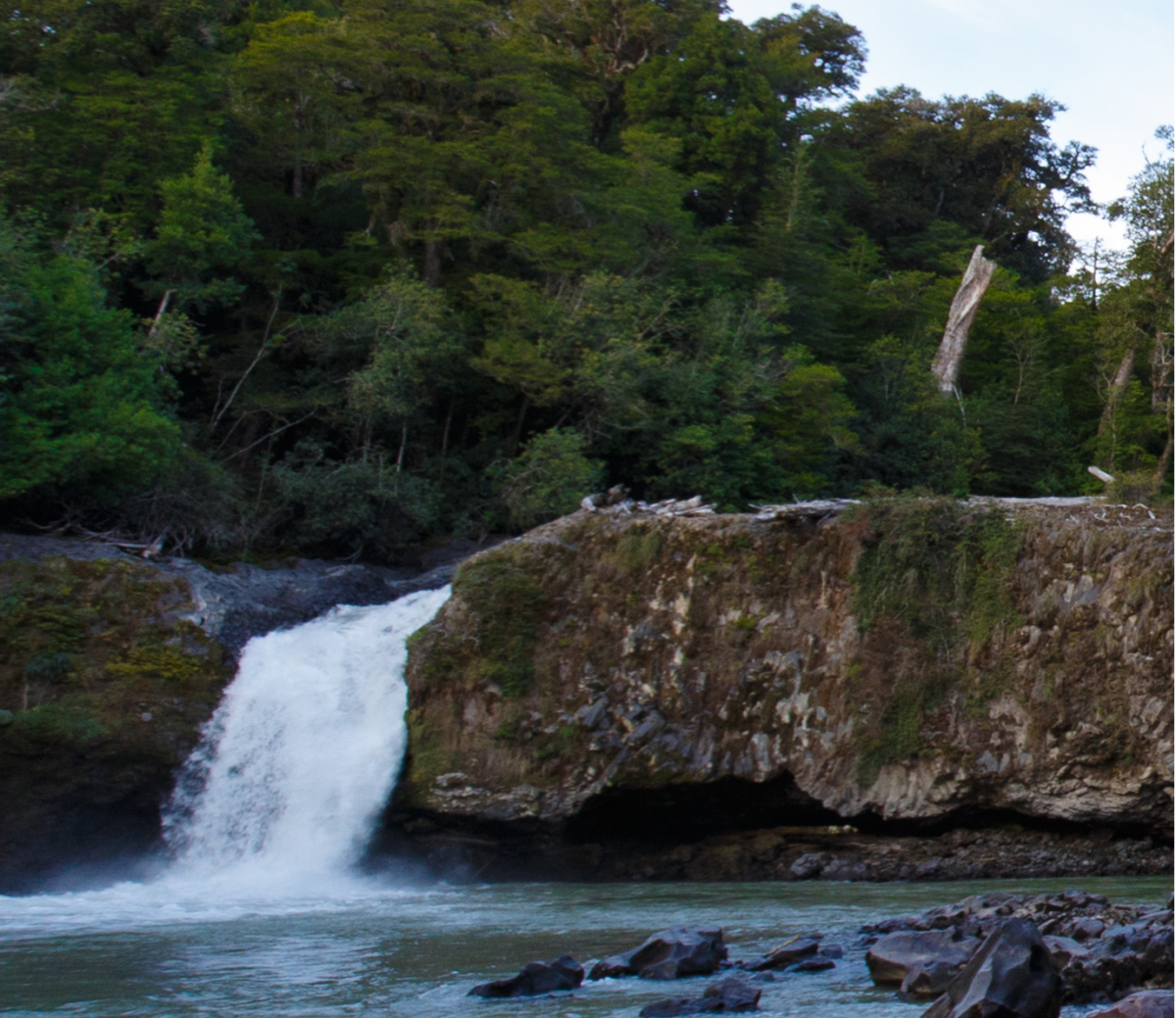 Saltos de agua y bosques del sur de Chile